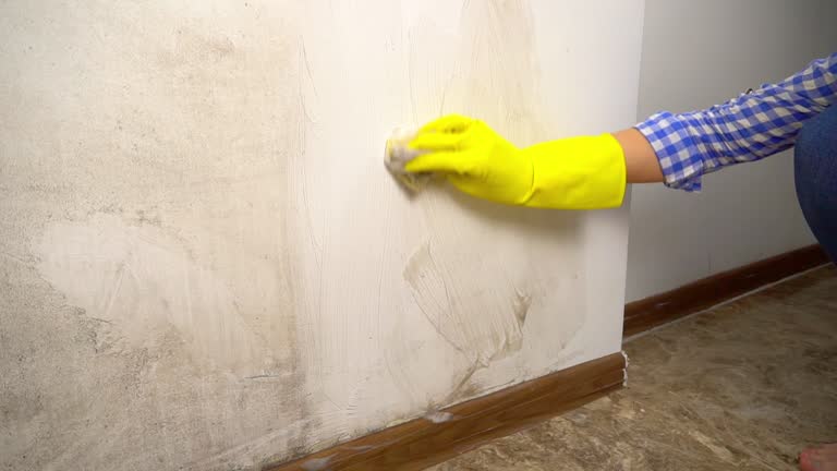 Best Flood Damage  in Susanville, CA