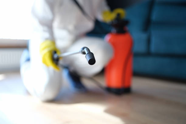 Best Emergency Mold Remediation  in Susanville, CA